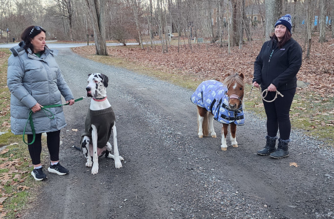 minnie with miniature dog