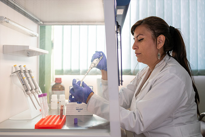 newest-wild-cat-genome-dna-study-in-lab