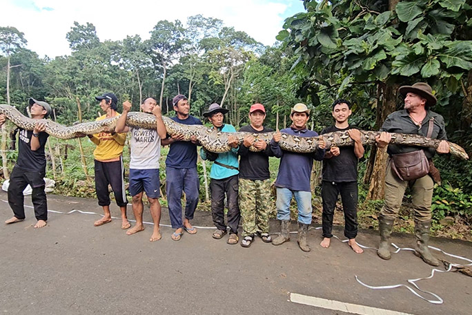 people holding the longest snake