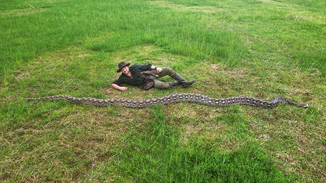 Split image man with longest snake