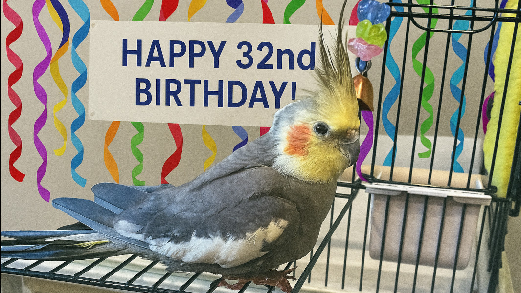 sonny with 32nd birthday banner