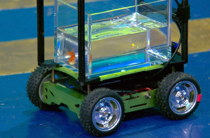 Blub driving car turning around