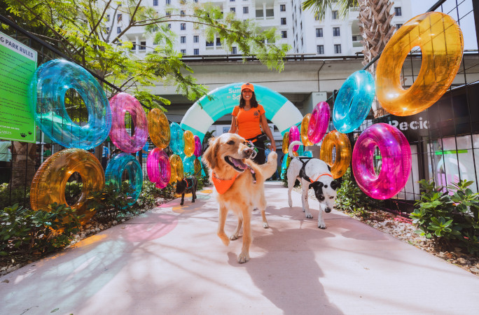 dogs walking into party