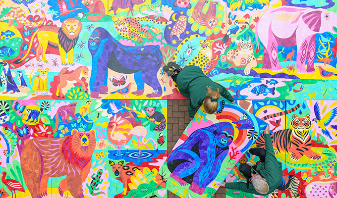 painting from above