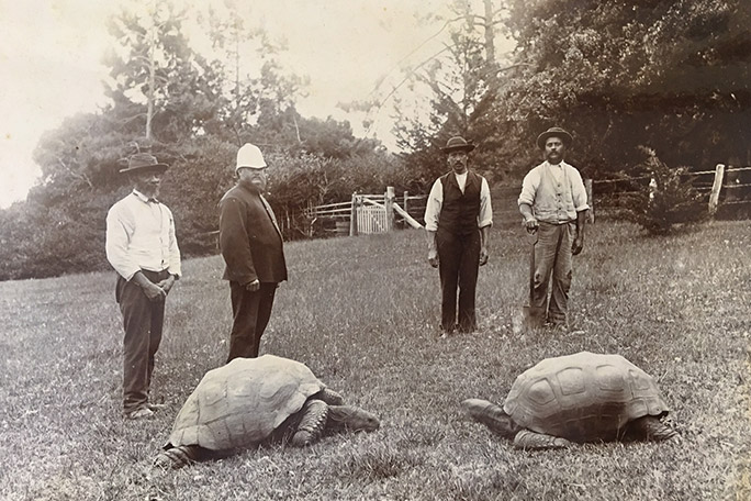 Jonathan in 1880s