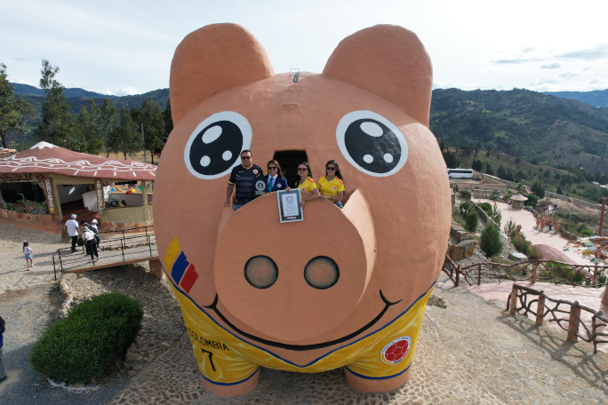 adjudicator in pig nose