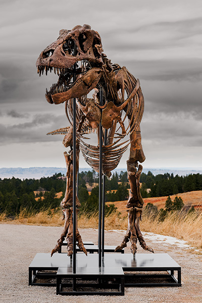 Gus full skeleton