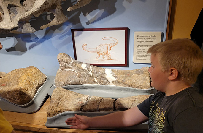 younger Anderson with fossil