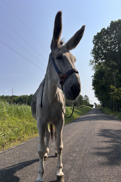 hank standing in street