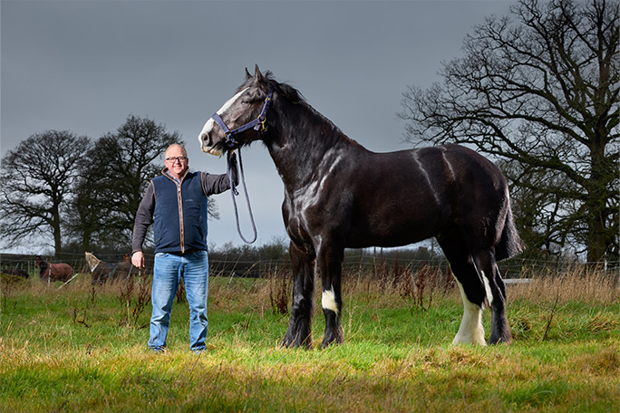 tallest horse with owner