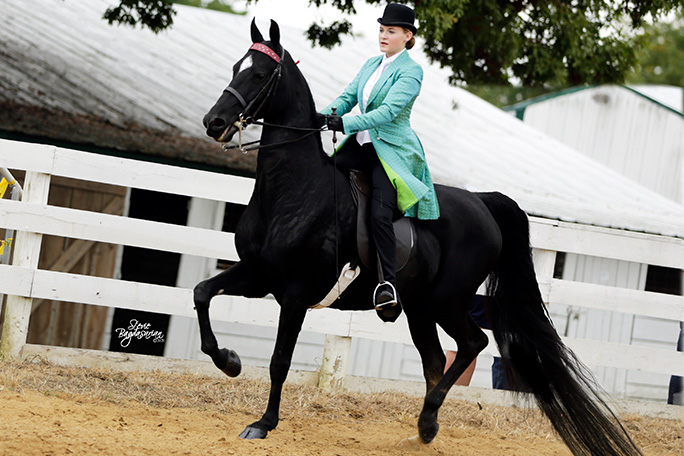jenny ridden by mackenzie
