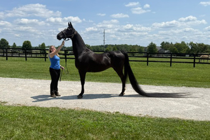 jenny with tail combed out