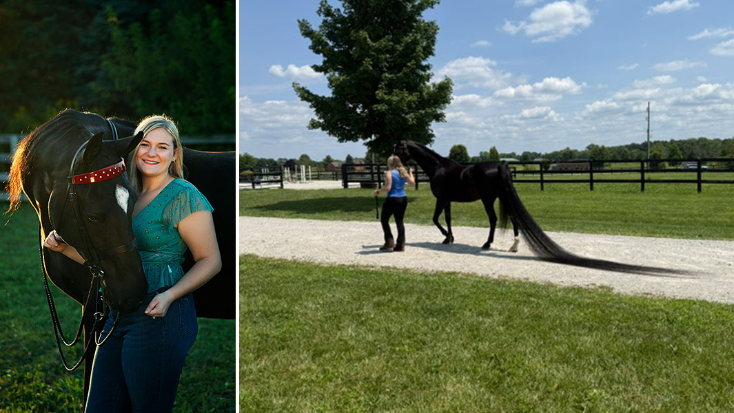 split image Jenny with owner and showing tail