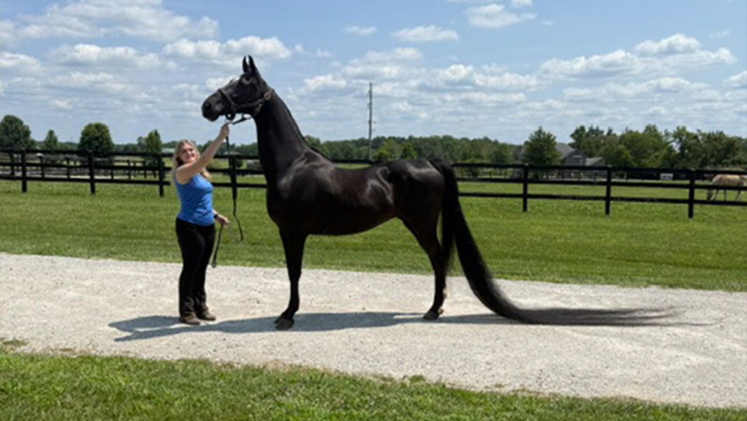 split image Jenny with owner and showing tail