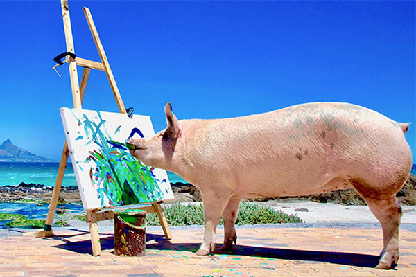 Pig painting