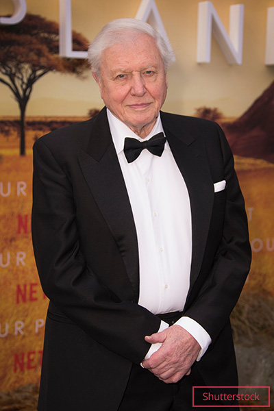 attenborough at premiere of a life on our planet