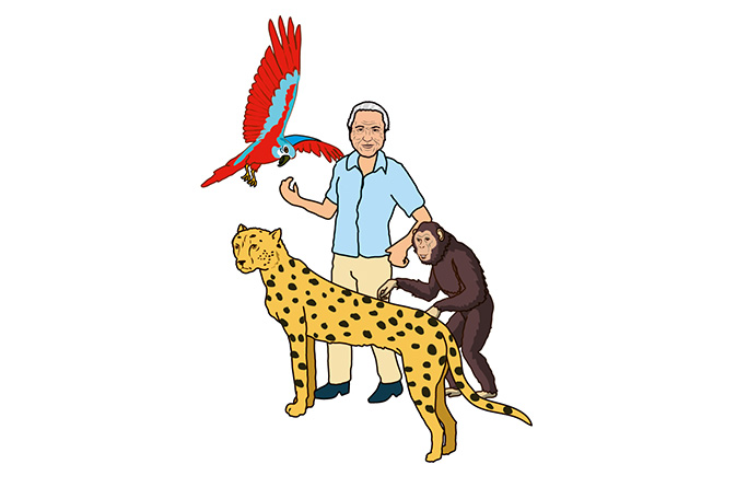 illustration of attenborough