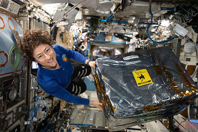 Christina Koch handles science hardware on expedition