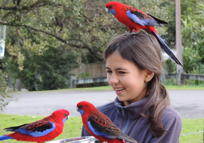 mya rose birding in australia