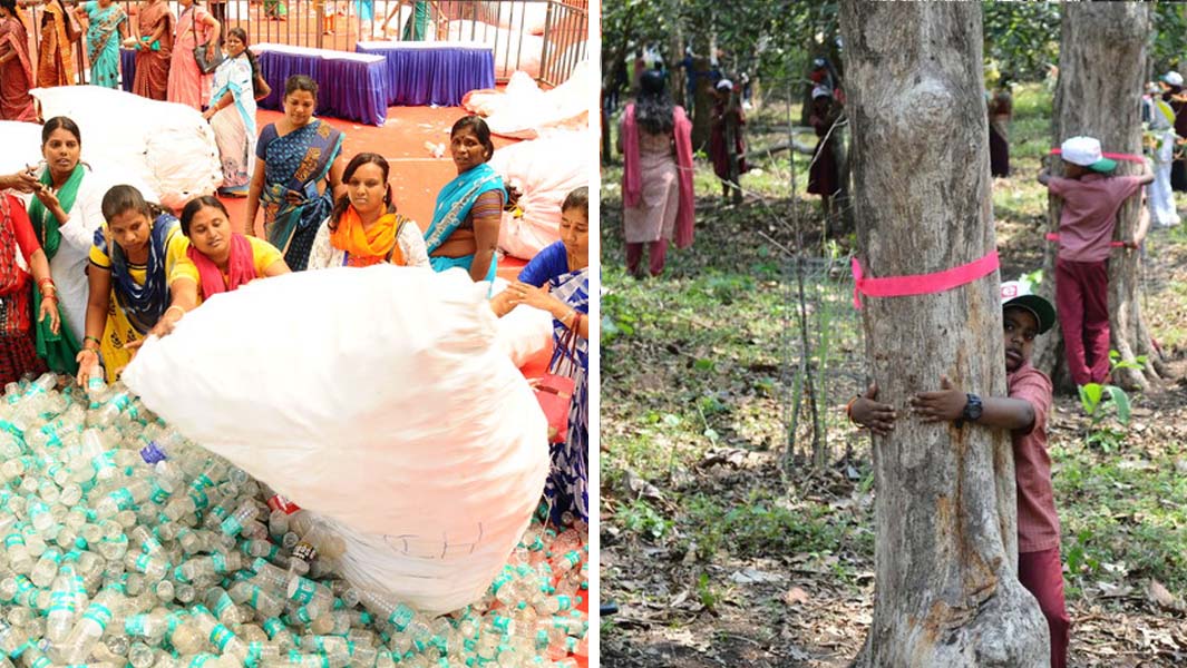 bottles recycling and tree hugs split header