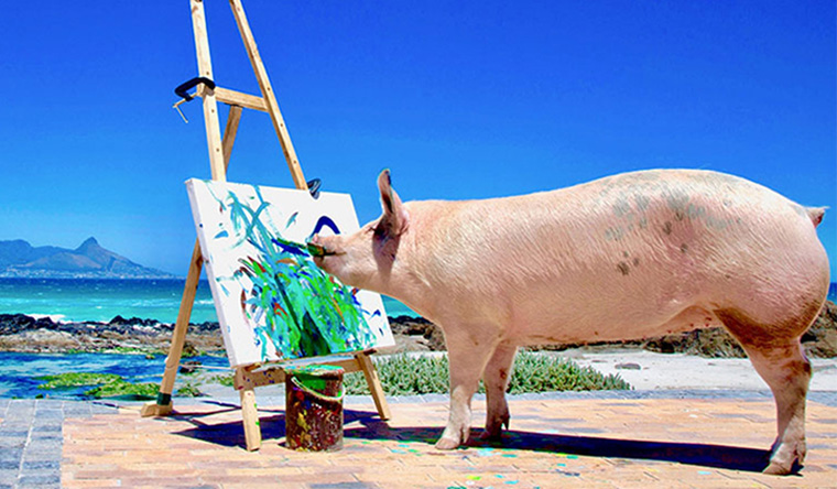 Pig painting