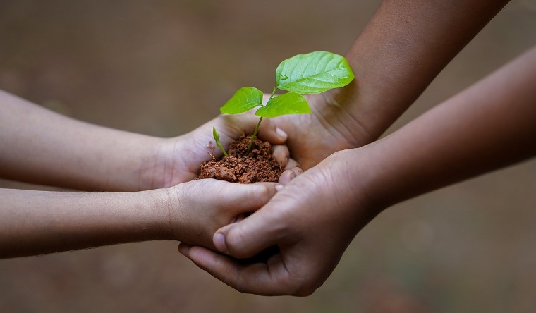 Two pairs of hands holding some soil with a small plant