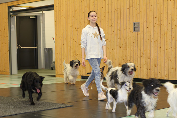 alexa with a group of dogs