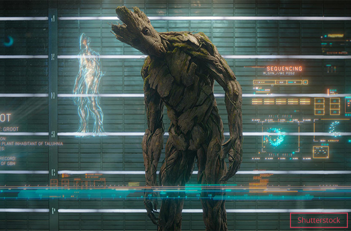 groot from guardians of the galaxy standing with head cocked to one side