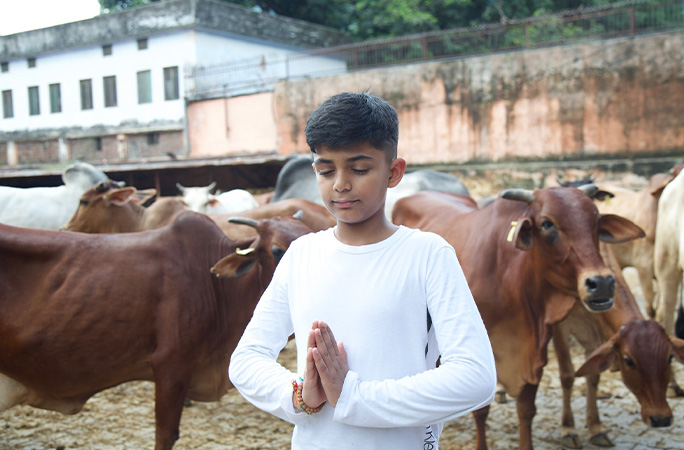 Reyansh with cows in backround