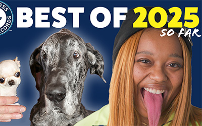 Smallest tallest dogs and longest tongue
