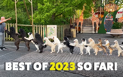 BEST OF 2023 (so far!)