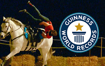 Adorable horses of ALL SIZES break records
