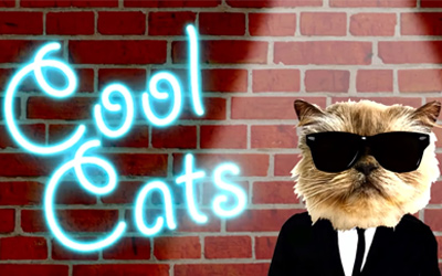 cat wearing cartoon glasses and wearing cartoon suit