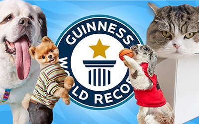 cutest animals records