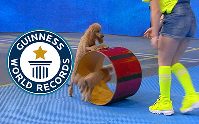 These 2 doggies set a record together!