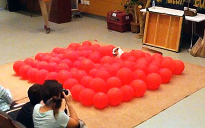 dog about to pop 100 red balloons