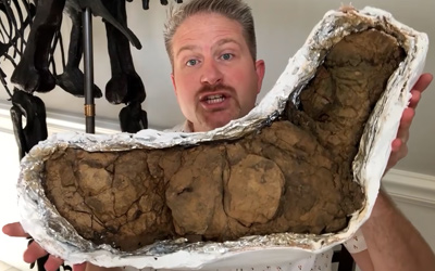 man holding dinosaur poo