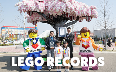 Epic LEGO world records!