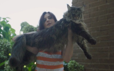 Barivel, the longest cat being held by owner