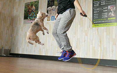 person skipping with a dog