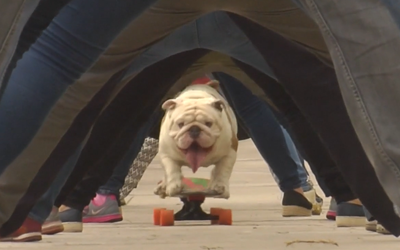 otto skating underneath people's legs