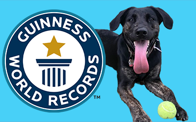 Record-breaking ANIMALS