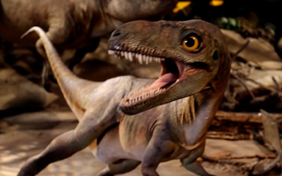 royal-tyrrell museum